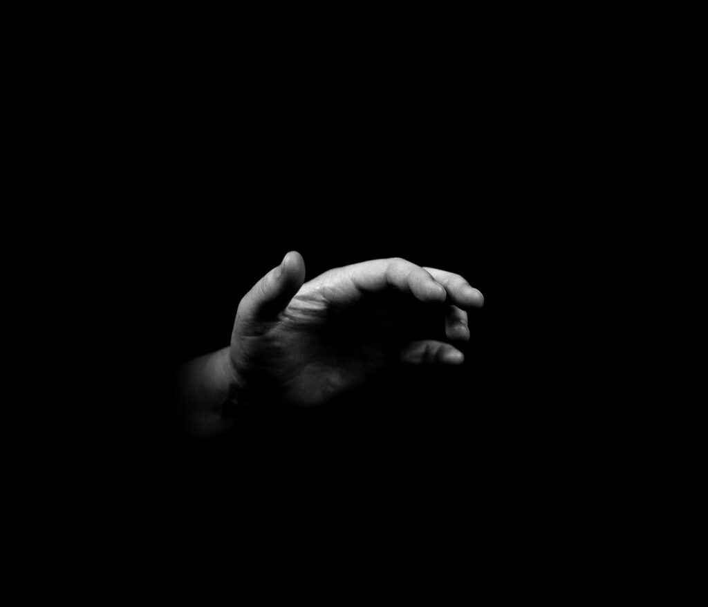 la Muta Eloquenza | 2016