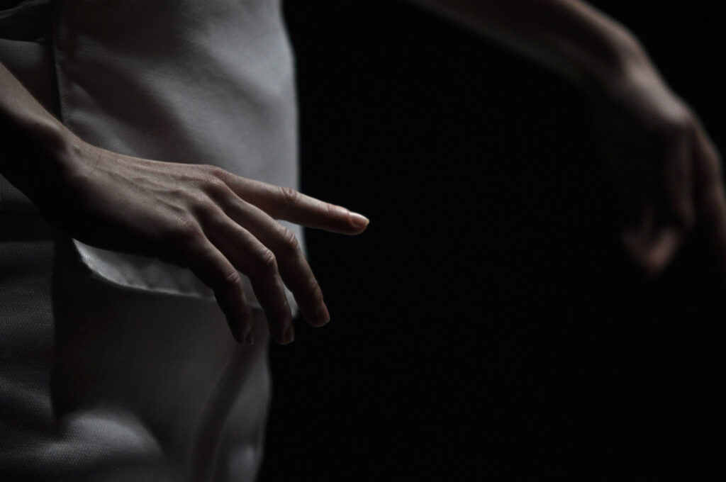 Le Renard ne s’apprivoise pas | Cie Contour Progressif | Mylène Benoit | 2012