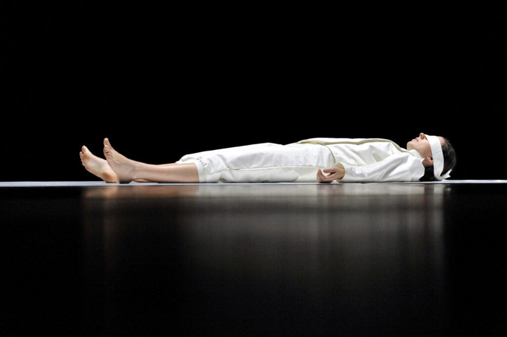 Le Renard ne s’apprivoise pas | Cie Contour Progressif | Mylène Benoit | 2012