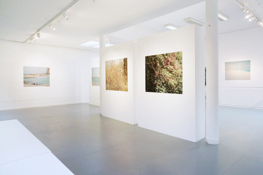 Rien n’aura eu lieu – Expo personnelle – La secu