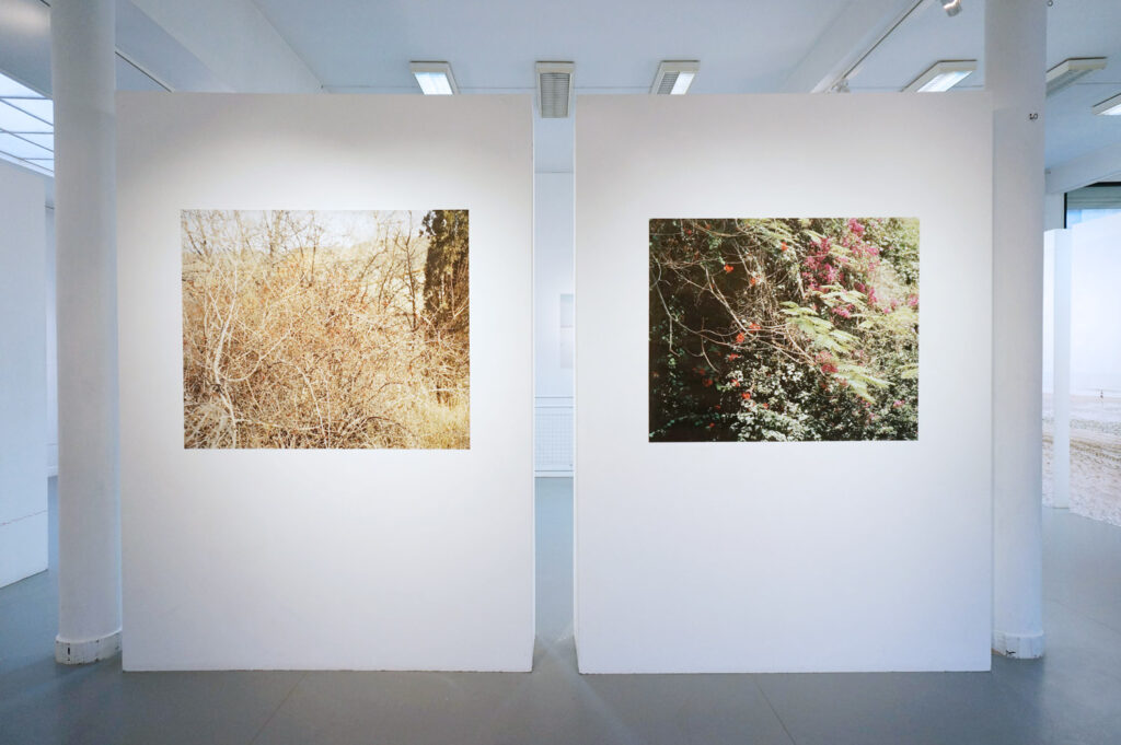 Exposition personnelle – Rien n’aura eu lieu
