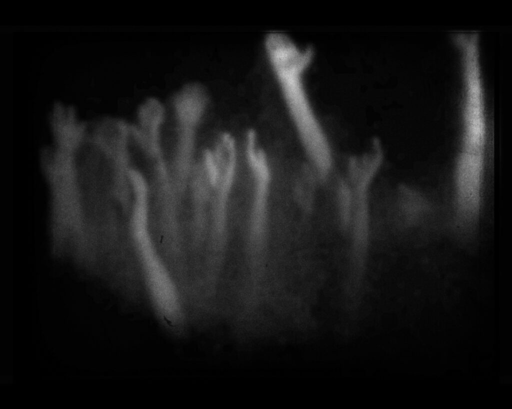Tu n’as rien vu à… | 2022 | Série Terre 土 Métal 金