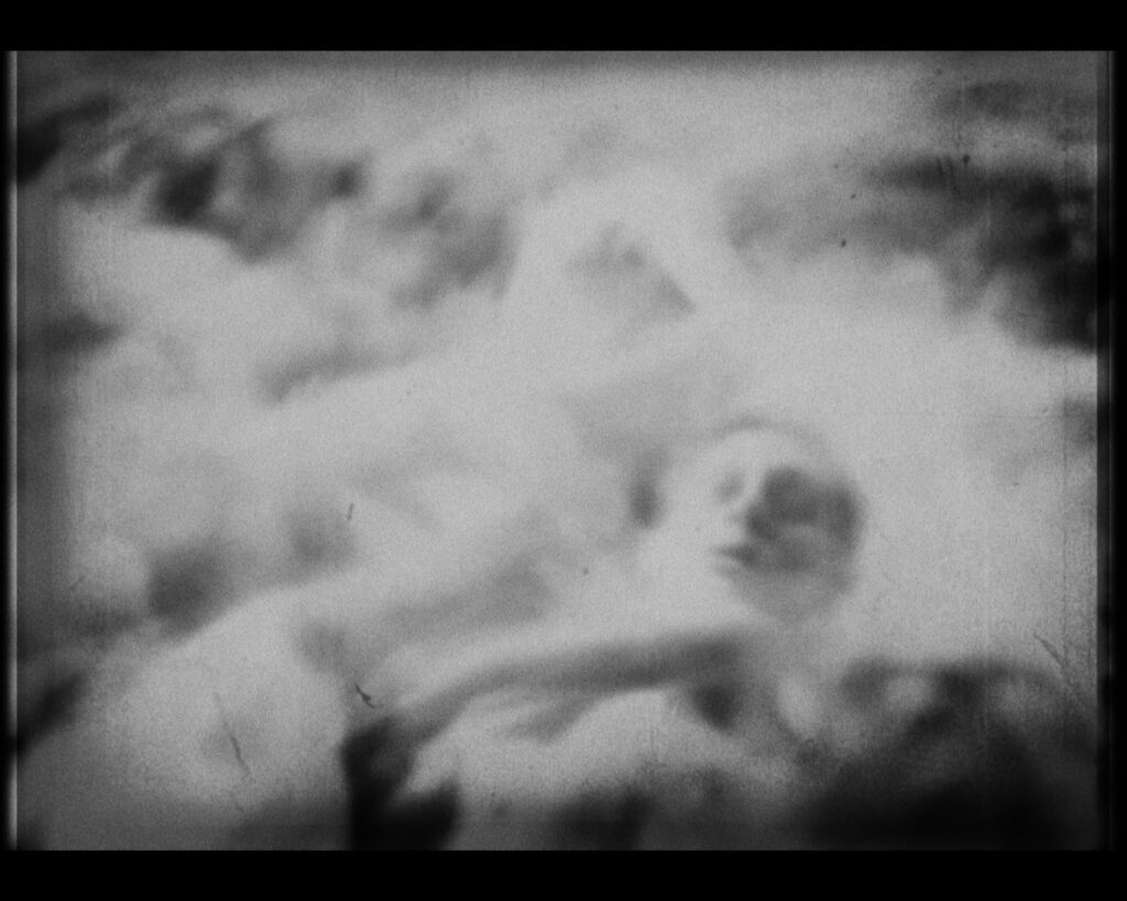 Tu n’as rien vu à… | 2022 | Série Terre 土 Métal 金